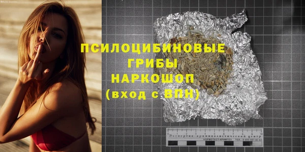 ГАЛЛЮЦИНОГЕННЫЕ ГРИБЫ Белоозёрский